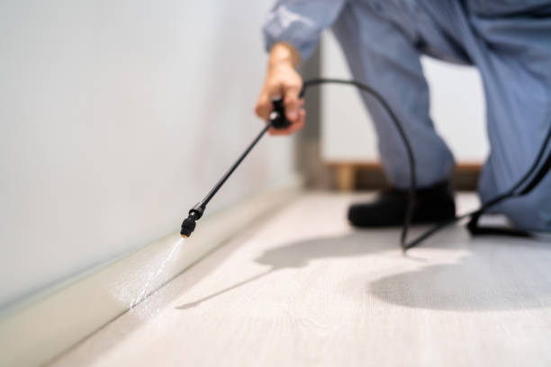 Licensed Cockroach Control service in Collinsville, MS - Nex Pest Control